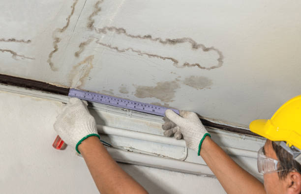 Reliable Structural Drying contractor in Petersburg, VA by Water Damage Irwin